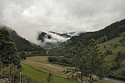 IMG_0010.jpg