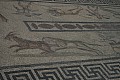 IMG_0567.jpg