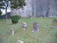 Cliquer pour agrandir