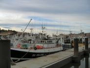 Cliquer pour agrandir