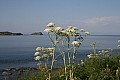 IMG_0373.jpg