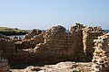 IMG_0392.jpg